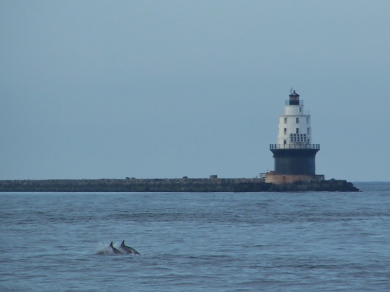 Delaware / Lewes / Harbor of Refuge Lighthouse
Author of the photo: [url=https://www.flickr.com/photos/bobindrums/]Robert English[/url]
Keywords: Lewes;Delaware;United States;Atlantic ocean