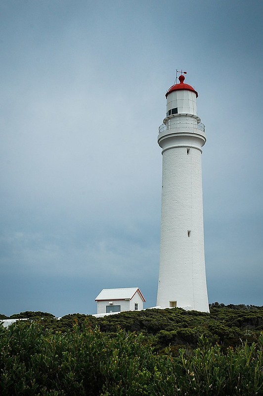 Cape Nelson Lighthouse
Author of the photo: [url=https://www.flickr.com/photos/48489192@N06/]Marie-Laure Even[/url]

Keywords: Cape Nelson;Victoria;Australia;Bass strait