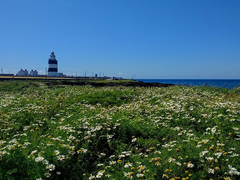 Hook Head Lighthouse
Author of the photo: [url=https://www.flickr.com/photos/81893592@N07/]Mary Healy Carter[/url]

Keywords: Celtic sea;Ireland;Wexford