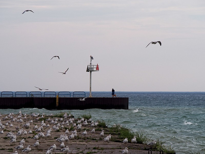 Michigan / Port Sanilac North Breakwater light 2
Author of the photo: [url=https://www.flickr.com/photos/selectorjonathonphotography/]Selector Jonathon Photography[/url]
Keywords: Michigan;Lake Huron;United States