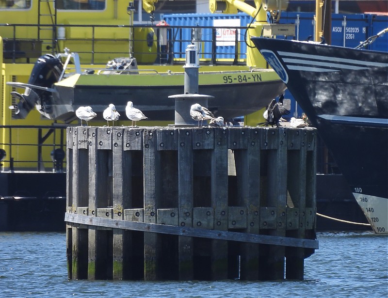 STELLENDAM - Inner Harbour - Compass Pole light
Keywords: Netherlands;Stellendam