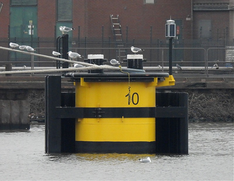 AMSTERDAM - Mercuriushaven - Vlothaven dolphin 10 light
Keywords: Amsterdam;Nordzeekanaal;North Sea;Netherlands
