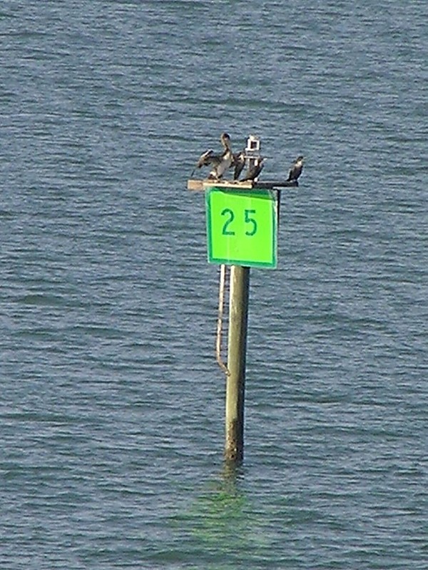 TEXAS - Corpus Christi Channel - No 25 light
Keywords: Texas;Corpus Christi;Gulf of Mexico;Corpus Christi Channel;Offshore;United States