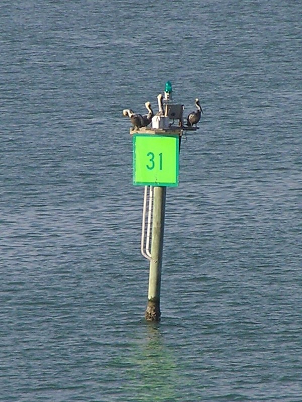 TEXAS - Corpus Christi Channel - No 31 light
Keywords: Texas;Corpus Christi;Gulf of Mexico;Corpus Christi Channel;Offshore;United States