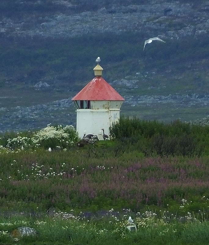 VARANGERFJORD - Nesseby - Løkholmen Lighthouse
Keywords: Varangerfjord;Norway