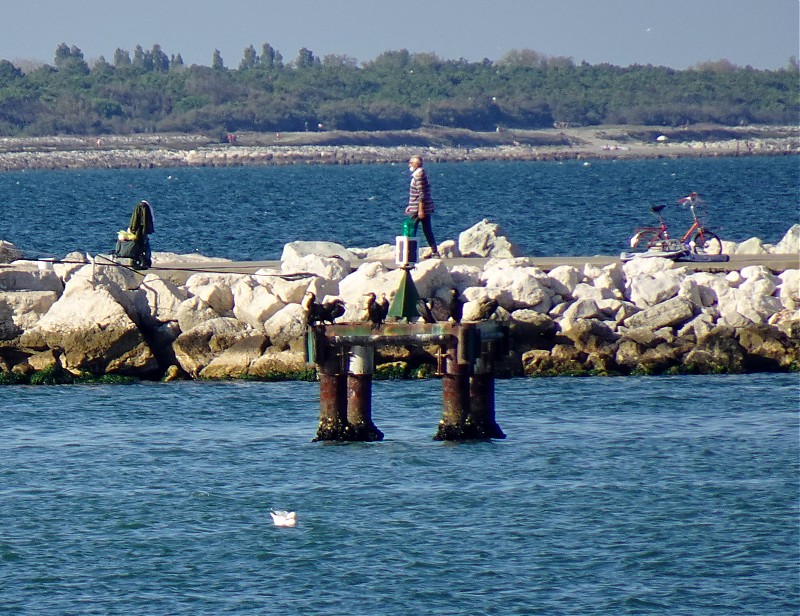 Porto di Ravenna / Cruise Terminal Dolphin light
Keywords: Italy;Adriatic Sea;Ravenna