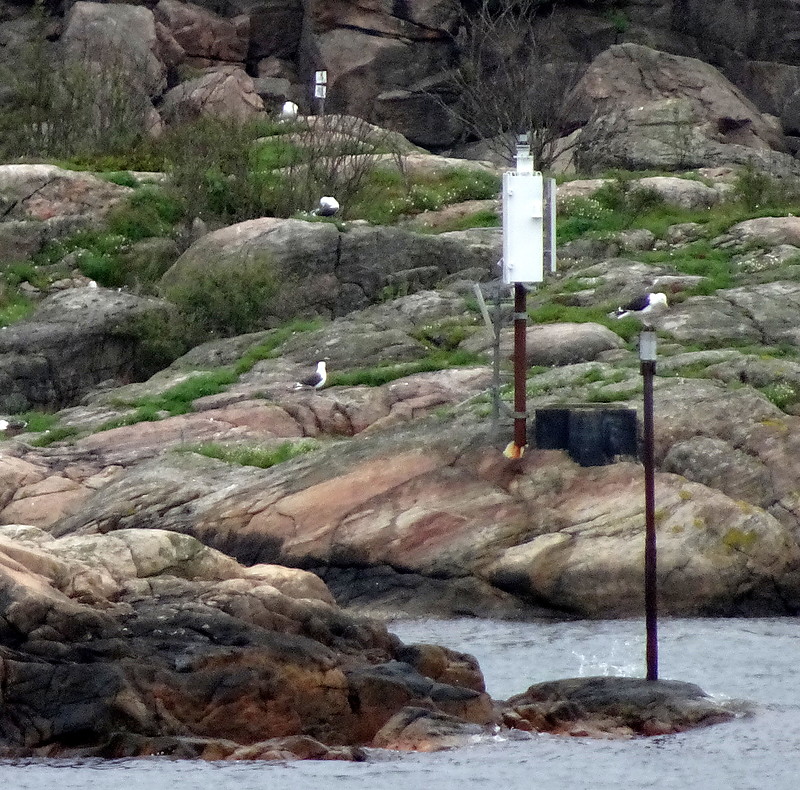 Lindesnes / Ramslandsvågen / Ldg Lts Front Småskjæra
Keywords: Norway;North sea