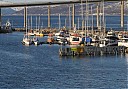 N_-_L3634_Indre_Havn_Nordsjeteen_DSC_6433.JPG