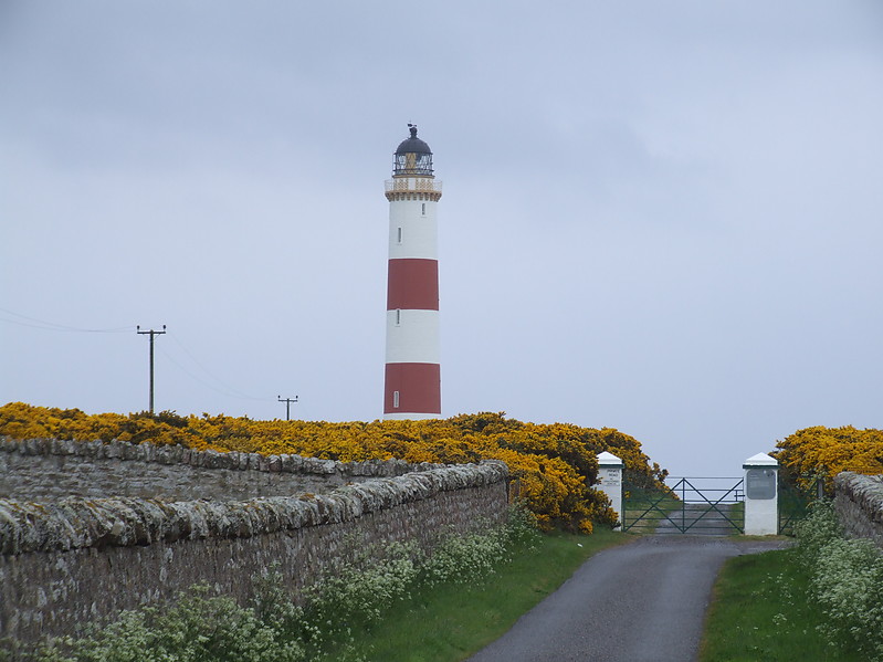 Tarbat Ness Lighthouse
Keywords: Scotland;United Kingdom;Moray Firth;North sea