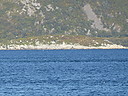 Lykt2C_Skarsfjorden_3.jpg