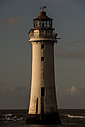 New_Brighton_Lighthouse_281_of_129~0.jpg