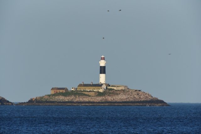 Rockabill Lighthouse
Keywords: Leinster;Dublin;Irish sea;Ireland